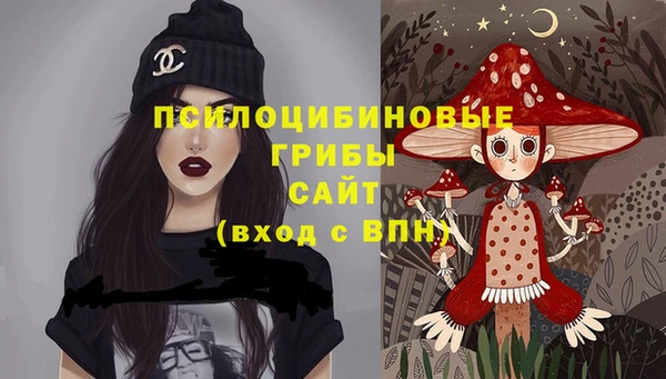 спиды Алексин
