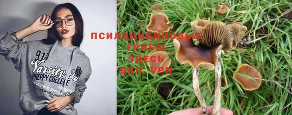 спиды Алексин