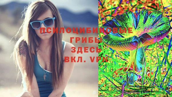спиды Алексин