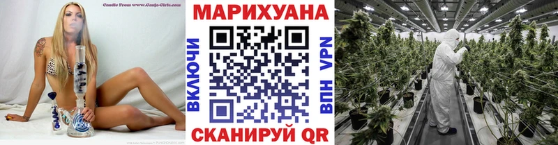 МАРИХУАНА Amnesia  блэк спрут tor  Кемь  купить  